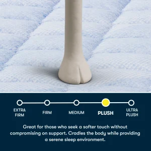 Serta Perfect Day Collection–16″ Plush Pillow Top Mattress