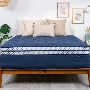 WinkBed Blue Series 2