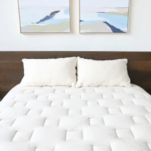 Naturepedic EOS Trilux Organic Mattress
